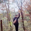 팬션 패트로누스 이미지