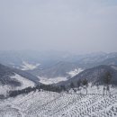 봉은수산 네이버블로그