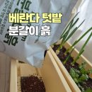 베란다 텃밭 화분 분갈이 흙과 비료를 한번에 닥터조분갈이흙10L닥터조알비료케이500g