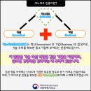 디에스푸드