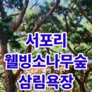서포리웰빙산책로 (덕적도) Daum카페