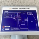 파주경찰서 앞 | 발급. 오키나와렌트 / 영문운전면허와 차이 (파주경찰서 민원실), 발급방법, 발급기간, 오프라인/온라인...