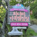 고등동 54-4 ~ 고등동 53-34 (동산전기 ~ 길) | 하너미캠핑장에서의 1박 2일(사이트 분석, 12번 솔직 후기 ) *사진으로 보는 명당 사이트(01번 - 58번)