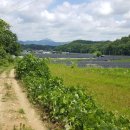 음지리농장 이미지