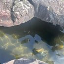 운문댐하류보1 이미지