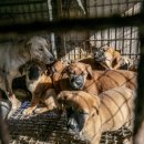 소동농장 이미지