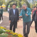 마산가고파 국화축제장 이미지