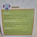 리틀 브루너 IQ 유아 지능 개발 워크북 세트 내돈내산 후기
