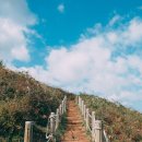 제주에 오길 잘했다 이미지