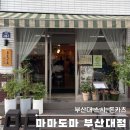[부산대] 초밥부터 카레, 돈까스까지! 가벼운 한끼 ‘마마도마’ 솔직리뷰