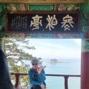 동백꽃축제&amp; 쭈꾸미축제---지브라대장 이미지