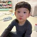 유한회사 이둔호텔 | 30w 임신기록 • 가을 한 장