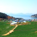 남해-302 이미지