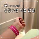 평촌마리아 인공수정 당일 후기 (루티너스질정 처방)