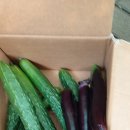 산골물소리 이미지