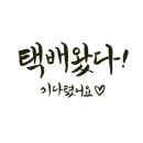 프리미엄 미트 이미지