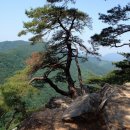 소향가든펜션 이미지