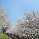 삼문풋살경기장 이미지