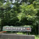 영호골부리식당 이미지