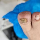 레푸스 방이역점 이미지