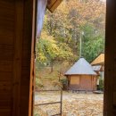 산속비봉식당 이미지