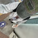 여자애향기 이미지