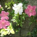 화지산 체육시설 이미지