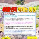 섬진장 이미지