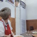 마이리틀메이트 네이버블로그