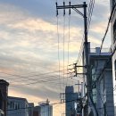 강남대로10길 55 이미지