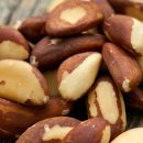 내 영혼에 바람이 분다 이미지