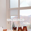 수카스테이
