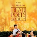 최무인 카카오 검색결과