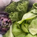 정진농장 이미지