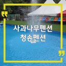 청송전자 | 청송 수영장 팬션 사과나무펜션 카라반 있는 숙소다