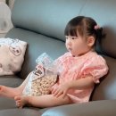 [안산아이와가볼만한곳] 팜플로리아 후기 🌿｜아기수영장+카페+동물체험