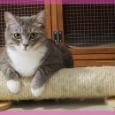 큰사랑동물병원 이미지