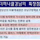 더피나클강남 네이버블로그