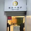 덕영수퍼 | 신림 파충류샵 바마프 방문후기