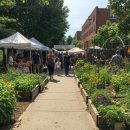 힐링마켓 이미지