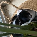 경주, 머물다3 이미지