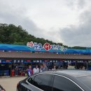 동막해변 물때 맛집 등 방문전 꿀팁모음5