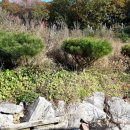 천평농장 이미지