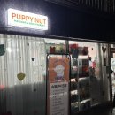 퍼피아이애견 | 부천 애견용품점 강아지간식 맛집 퍼피넛 직접 방문 후기