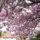 만수노인복지원 이미지