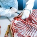 관골 농장 이미지