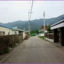 반월들길 이미지