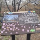 천문과학관주차장 이미지