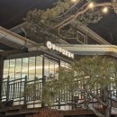 신샘밭로 L | 춘천 닭갈비 맛집 통나무집닭갈비 (+웨이팅 / 주차 정보)