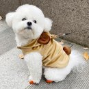 호나미네